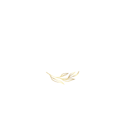 Hotel Clément Ader
